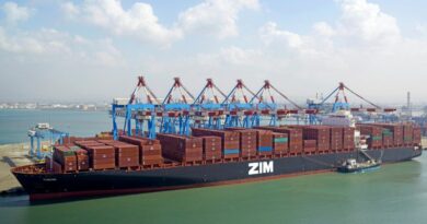 ZIM Tianjin Terrorisme