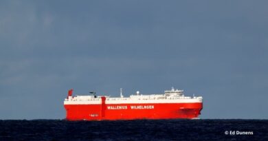 Navire Wihelmsen Tijuca