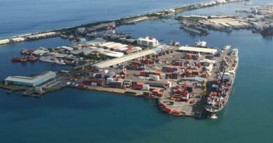 Port autonome de Papeete commerce international