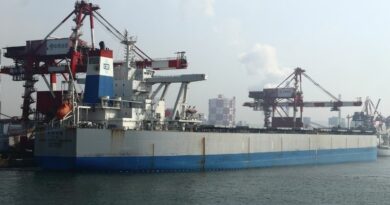 Navire China Steel Innovator