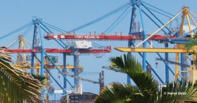Portiques de Port Réunion ©H.D.