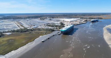 Navire roulier à Colonel's Terminal au port de Brunswick