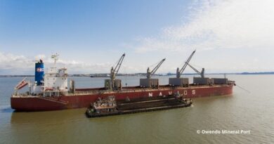 Chargement d'un navire pour le compte OMP au large du Gabon