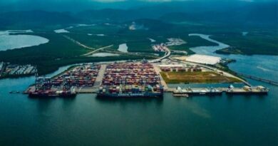 Le terminal à conteneurs de Santos (DP World) avec un terminal céréalier associé.