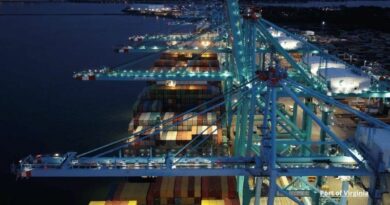 Les portiques du port de Virginie la nuit