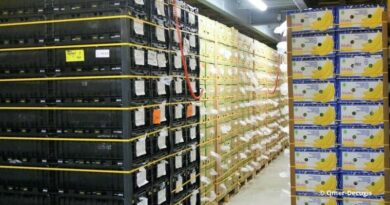 Mûrisserie Omer-Decugis