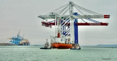 Arrivée de portiques à Port 2000 pour TNMSC