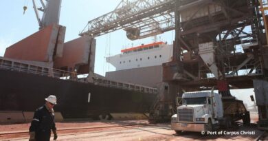 Manutention de vracs secs à Corpus Christi avec camion