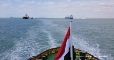 Croisement de navires dans le canal de Suez