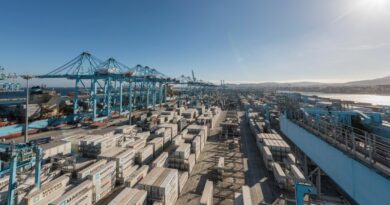Le terminal d'APM Terminals dans le port d'Algésiras