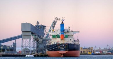 Navire en chargement dans le port d'Odessa