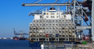 Navire CMA CGM Fort de France en déchargement au Havre