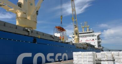 Déchargement de pâte à papier à La Rochelle