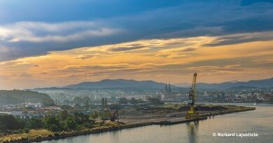 Vue générale du port de Bayonne
