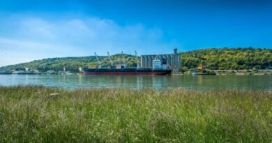 Le silo de Sénalia au GPM de Rouen en cours de chargement. © Senalia