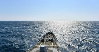 Le Détroit de bab el Mandeb toujours sous étroite surveillance