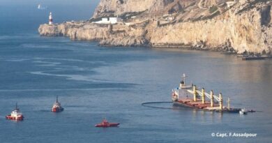 Le rapport d'Allianz note une baisse des pertes de navires.