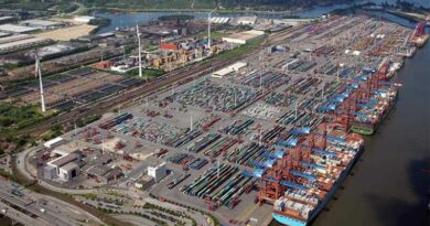 Le Container Terminal Hamburg dans le port de Hambourg