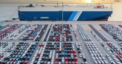 Les ports rouliers européens enregistrent une baisse de leur trafic selon European Car Group