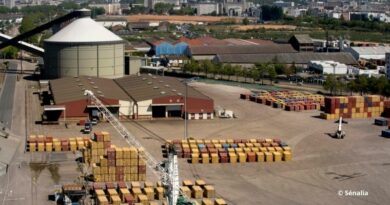 Le cacao est réceptionné par Sénalia à Rouen soit en vrac soit en conteneurs.