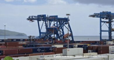 Le portique en cours de test sur le terminal de la Pointe des Grives au GPM de la Martinique a piqué du nez.