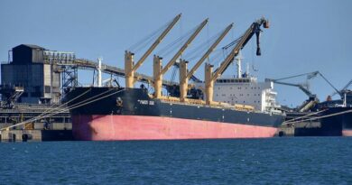 Le marché des vracs secs est déprimé sur le premier semestre