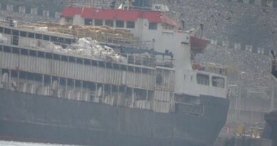 Le Spiridon II, bétaillère maritime transporte 2900 vaches d'Uruguay vers la Turquie.