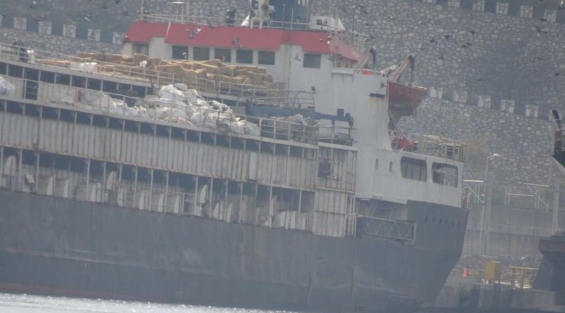 Le Spiridon II, bétaillère maritime transporte 2900 vaches d'Uruguay vers la Turquie.