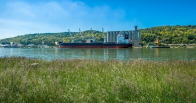 Les exportations de céréales progressent sur les quatre premiers mois de la campagne céréalière.