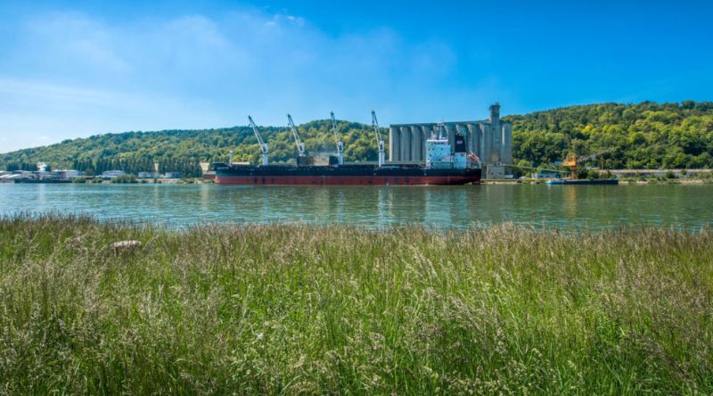 Les exportations de céréales progressent sur les quatre premiers mois de la campagne céréalière.