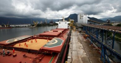 Le Brésil s'immisce dans le conflit agroalimentaire entre la Chine et les États-Unis.