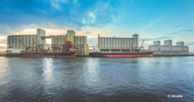 Sénalia subi les effets de la pire récolte de blé des quatre dernières décennies.