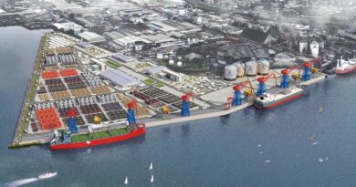 AD Ports prévoit de construire un terminal vraquier avec Africa Ports Development au Port autonome de Douala.