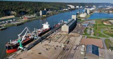 Les exportations de céréales vers les pays tiers revus à la baisse en mars.