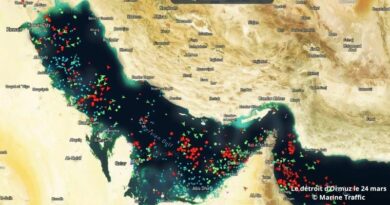 Chubb et la'agence américaine DFC créent un fonds de garantie pour couvrir les risques de guerre des navires transitant par le détroit d'Ormuz.