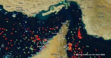 Le détroit d'Ormuz est sous haute surveillance sans que les navires ne l'empruntent.