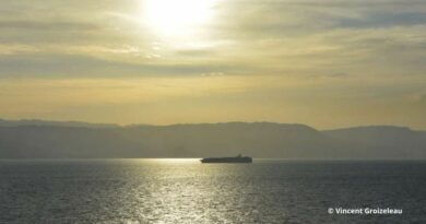 La neutralisation du détroit d'Ormuz impacte jusque les trfics d'engrais.