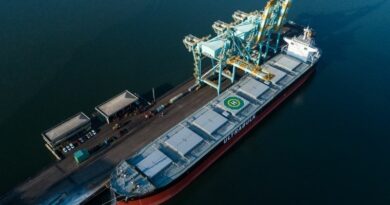 L'Inde joue un rôle prépondérant dans le marché des vracs.