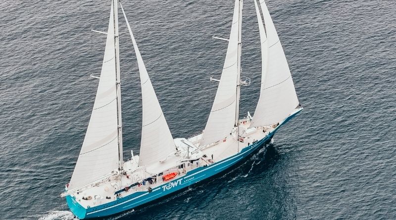 TOWT est mis en liquidation judiciaire.