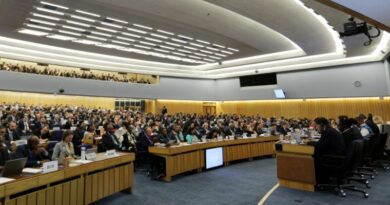 La réunion d'avril de l'OMI débat sur le Net Zero Framework.