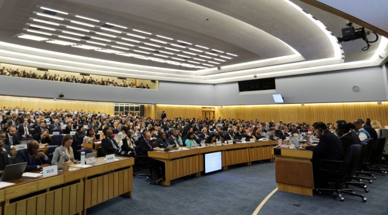La réunion d'avril de l'OMI débat sur le Net Zero Framework.