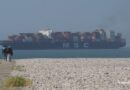 Le World Container Index en hausse sur le mois de mai 2026.