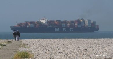 Le World Container Index en hausse sur le mois de mai 2026.