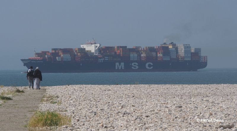 Le World Container Index en hausse sur le mois de mai 2026.