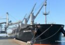 Haropa Port et le GPM de La Rochelle, les deux pôles céréaliers portuaires français enregistrent une hausse de leur trafic céréalier.