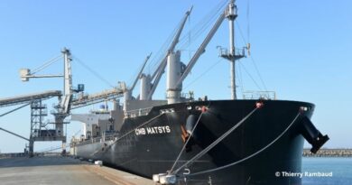 Haropa Port et le GPM de La Rochelle, les deux pôles céréaliers portuaires français enregistrent une hausse de leur trafic céréalier.