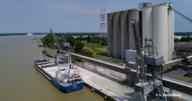 TLF Overseas et l'UMPF réagissent au rapport sur la compétitivité des ports.