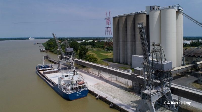 TLF Overseas et l'UMPF réagissent au rapport sur la compétitivité des ports.