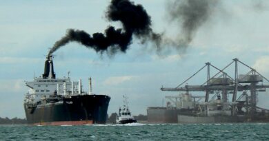 L'Ecsa demande une révision des quotas EU ETS